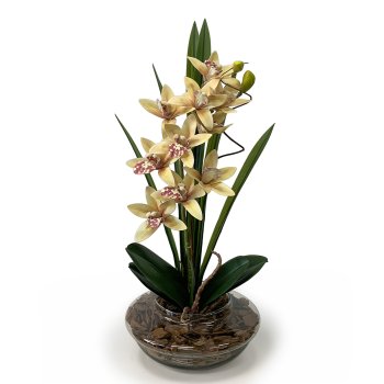 ARRANJO ORQUIDEA LUXO NUDE