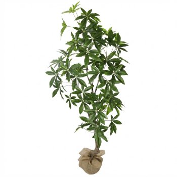 Planta Permanente  Árvore Ornamental 150cm