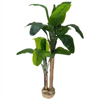 Planta  Permanente  Árvore Bananeira 160cm