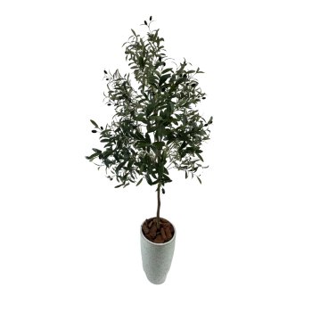 Planta  Permanente  Arvore de Oliveira 160cm
