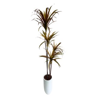 Planta  Permanente  Árvore Yucca 120cm