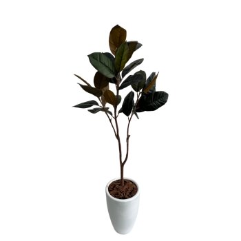 Planta  Permanente  Árvore de Magnolia 120 cm