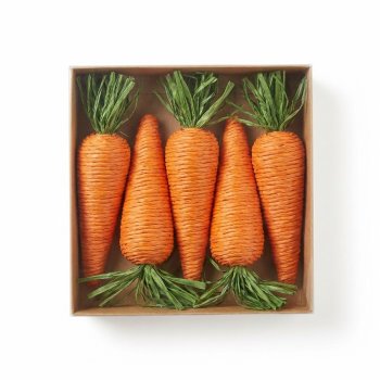 kit Cenoura  Decorativa kit c/ 5 Ideal para Presentear